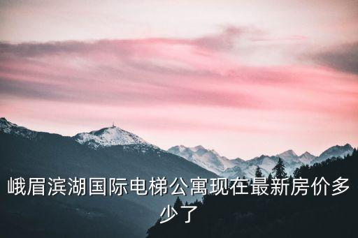 濱湖小公寓房價多少錢一平，合肥濱湖新區房價大約多少錢46中旁邊...